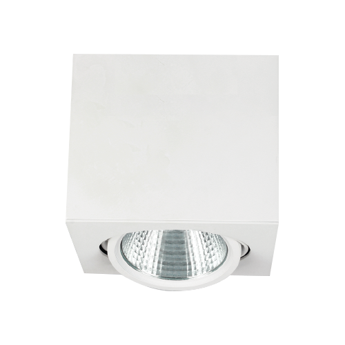 LAMPTIME SIVA ÜSTÜ COB DOWNLIGHT 1*40W 4000K TEKLI KARE BEYAZ GÖVDE